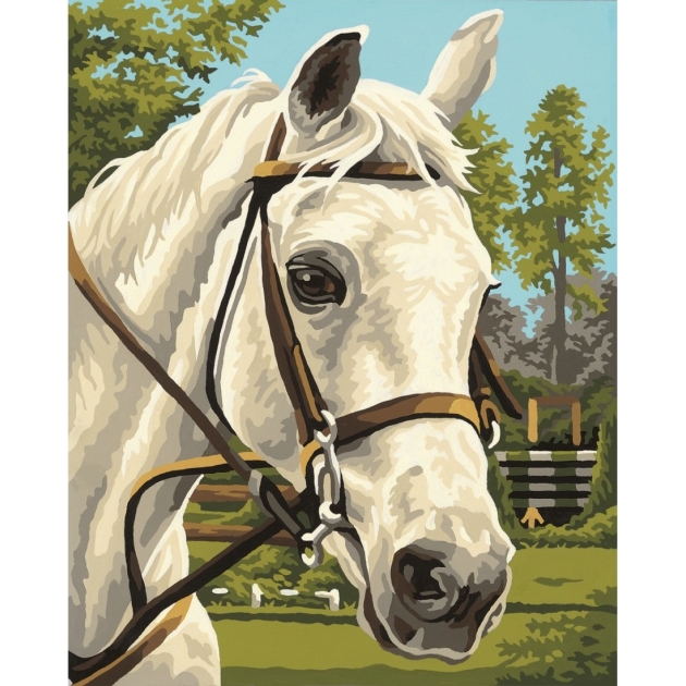 Раскраска по номерам Schipper Белая лошадь 9240394