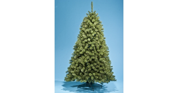 оби спб ели