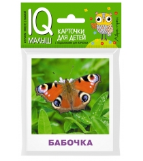 Карточки для детей насекомые Айрис-Пресс 25951