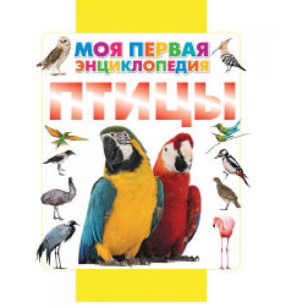 Книга птицы