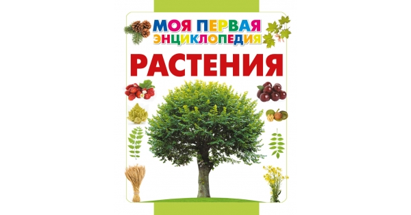Читать книгу о растениях. Моя первая энциклопедия растения. растения. энциклопедия. энциклопедии о растениях на прозрачном фоне. большая энциклопедия растений для детей (miles &amp; kelly).