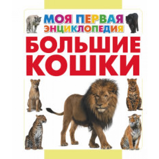 Книга большие кошки