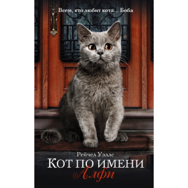 Книга кот по имени алфи