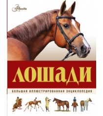 Книга лошади большая иллюстрированная энциклопедия