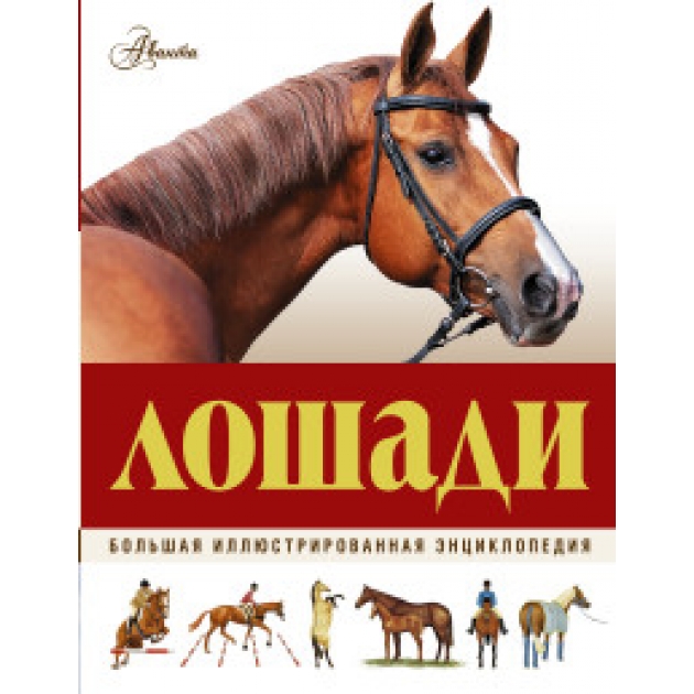 Книга лошади большая иллюстрированная энциклопедия