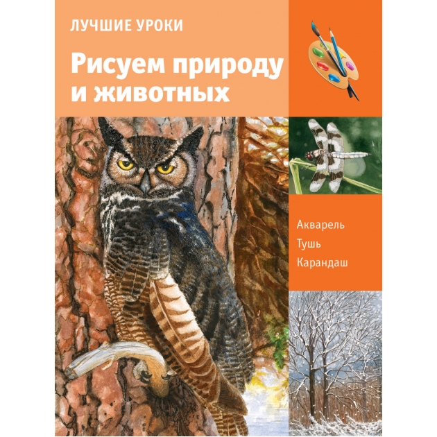 Книга рисуем природу и животных