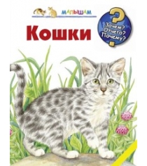 Книга кошки