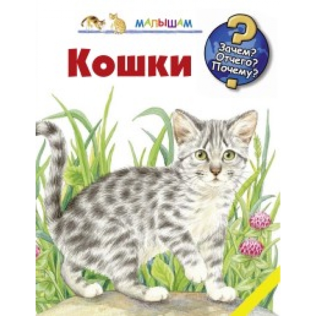 Книга кошки