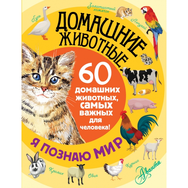 Книга домашние животные