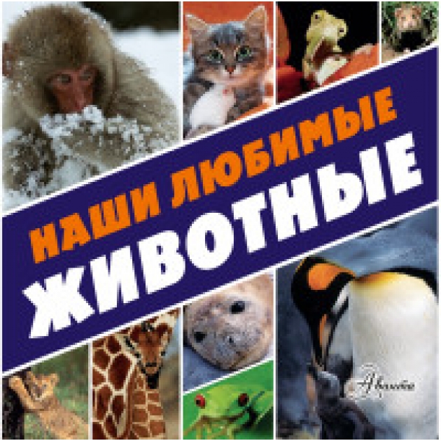 Книга наши любимые животные