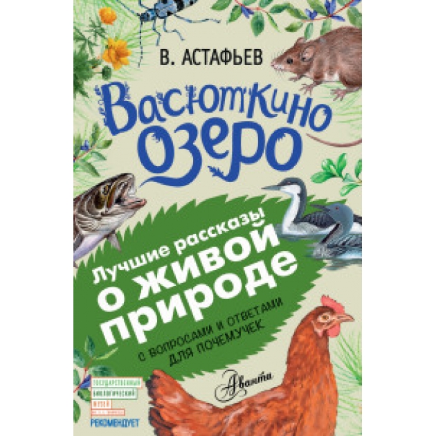 Книга васюткино озеро