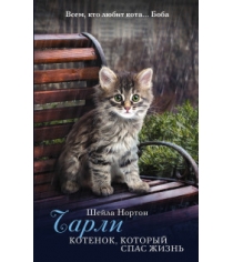 Книга чарли котенок который спас жизнь