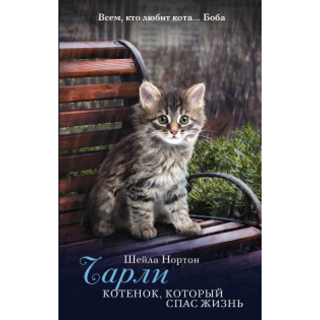 Книга чарли котенок который спас жизнь