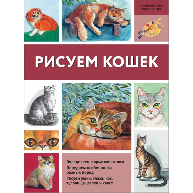 Книга рисуем кошек