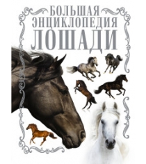 Книга лошади большая энциклопедия