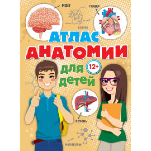 Книга атлас анатомии для детей