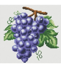 Алмазная мозаика гроздь винограда круглые элементы Белоснежка 029-RS-R