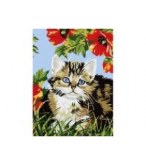 Живопись на холсте котенок в цветах Белоснежка 009-CE