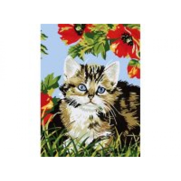 Живопись на холсте котенок в цветах Белоснежка 009-CE
