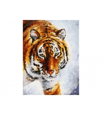 Живопись на холсте тигр на снегу 30х40 см Белоснежка 780-AS