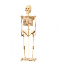 Модель деревянная сборная скелет человека Wooden Toys P076