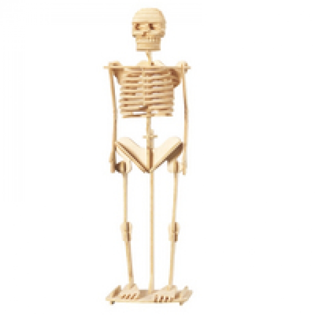 Модель деревянная сборная скелет человека Wooden Toys P076
