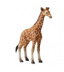 Жеребенок сетчатого жирафа l Collecta 88535b