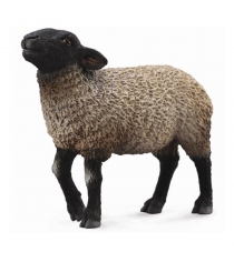 Фигурка овца суффолк m Collecta 88636b