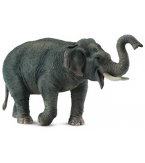 Азиатский слон Collecta 88486b