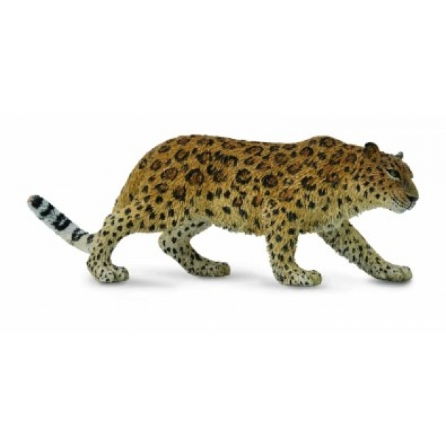 Амурский леопард Collecta 88708b