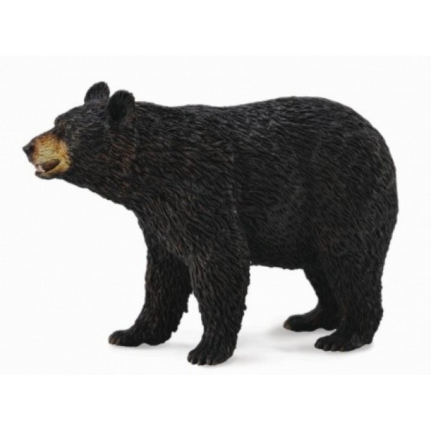 Американский чёрный медведь Collecta 88698b