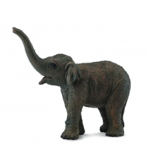 Азиатский слонёнок размер s Collecta 88487b