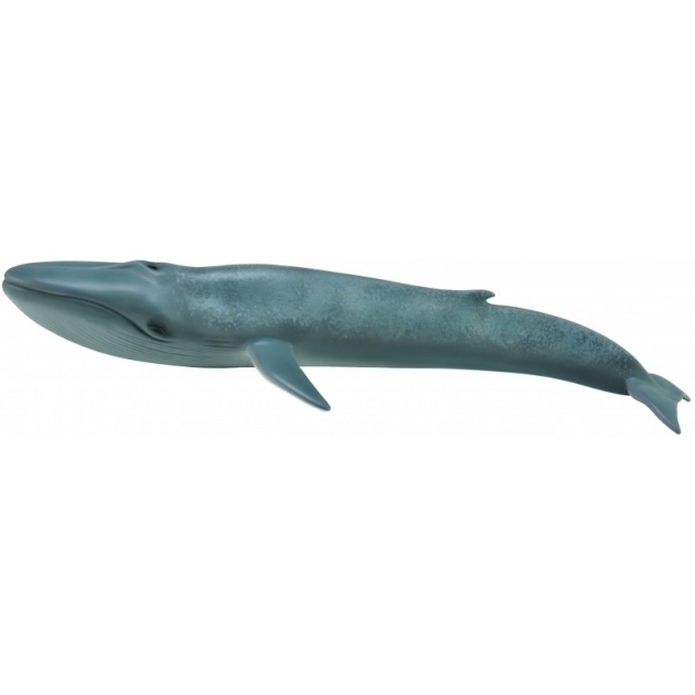 Голубой кит Collecta 88834b