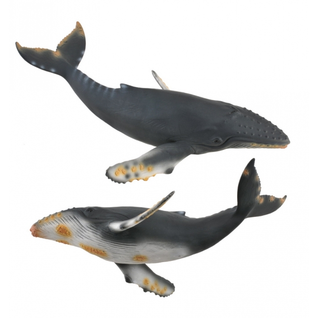 Горбатый кит Collecta 88347b