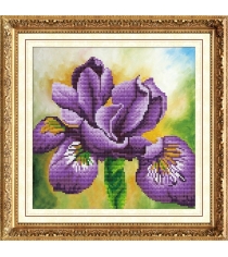 Мозаичная картина ирис 30x30 см Color kit 303003