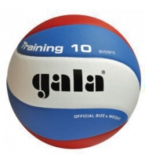 Волейбольный мяч Gala TRANING BV5561S