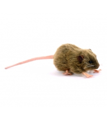 Мягкая игрушка бурая крыса 12 см Hansa 5577
