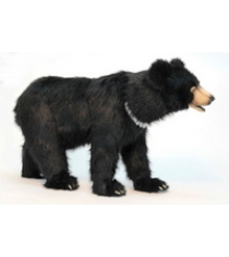 Черный медведь 105 см Hansa 6086