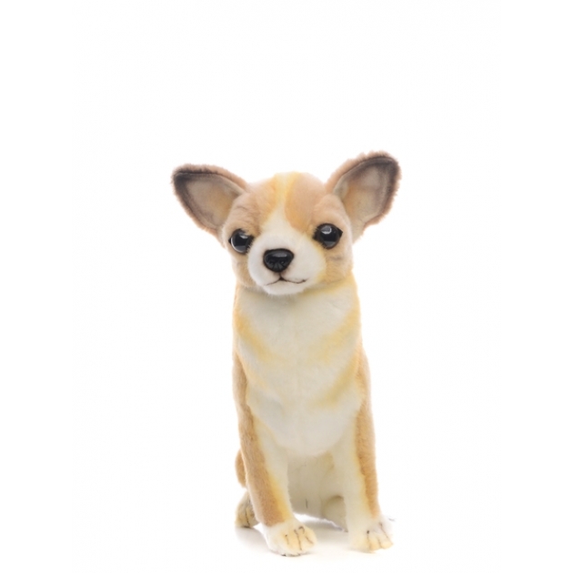 Мягкая игрушка Hansa собака породы чихуахуа 31 см 6501