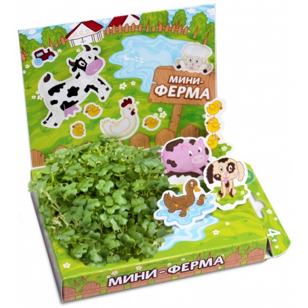 Детский набор для выращивания мини ферма Happy Plant hps-212