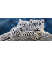 Пазл Кастор 600 снежные леопарды В-060115