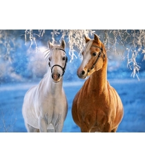 Пазл Кастор 260 лошади зимой В-27378