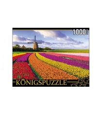 Пазлы Konigspuzzle тюльпановое поле и мельница 1000 эл ГИК1000-6548