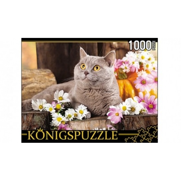 Пазлы Konigspuzzle британский кот 1000 эл ГИК1000-6552