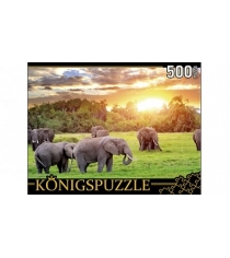Пазлы Konigspuzzle кенийские слоны 500 эл ГИК500-8296