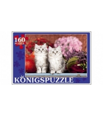 Пазлы Konigspuzzle пушистые котята 160 эл ПК160-5839