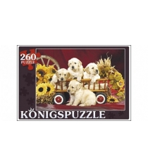 Пазлы Konigspuzzle щенки лабрадора 260 эл ПК260-5873