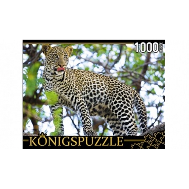 Пазлы Konigspuzzle хозяин джунглей 1000 эл ГИК1000-8237