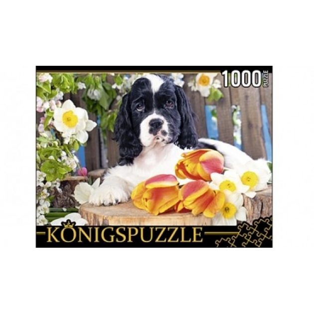 Пазлы Konigspuzzle щенок спаниеля 1000 эл ГИК1000-8238