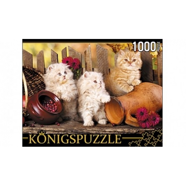 Пазлы персидские котята 1000 эл Konigspuzzle ГИК1000-8240